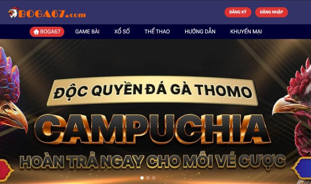 casino67.tv là gì?